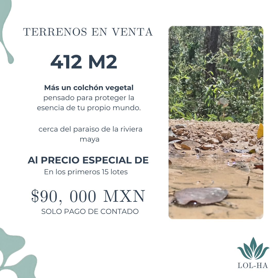 Material LOL-HA: lote de 412 m² y promoción de contado
